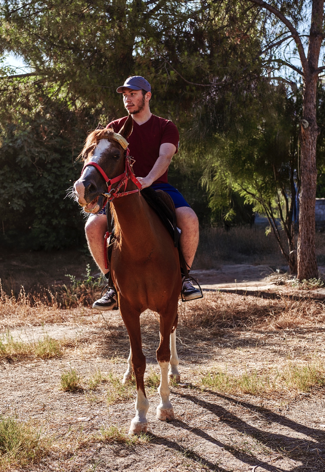 Horse Riding Safari in the Unique Landscapes of Pamukkale