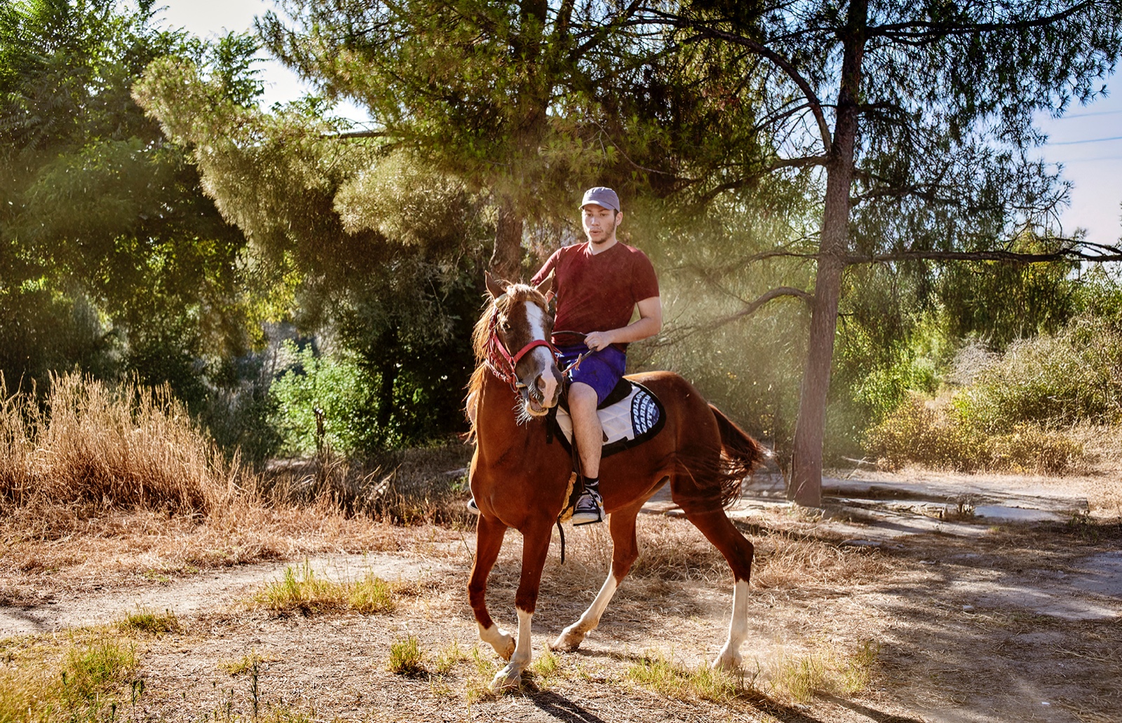 Horse Riding Safari in the Unique Landscapes of Pamukkale